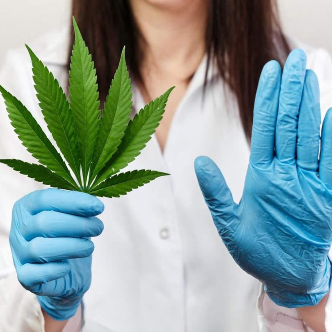 STOP-CANNABIS ET AUTRES….